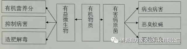 炭基生物有机肥